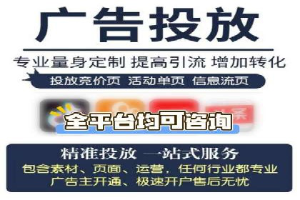 百度推广费用的投入与市场占有率提升的关联案例